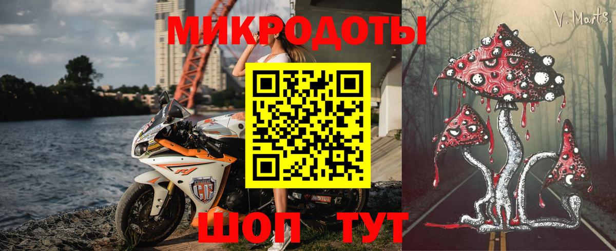 Арсеньев  Псилоцибиновые грибы Psilocybine cubensis  Вход с VPN 