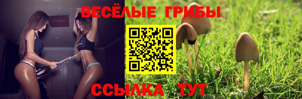 Псилоцибиновые грибы мицелий Арсеньев